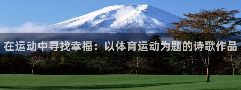 vsport体育官网下载平台是正规平台吗安全吗:在运动中寻找