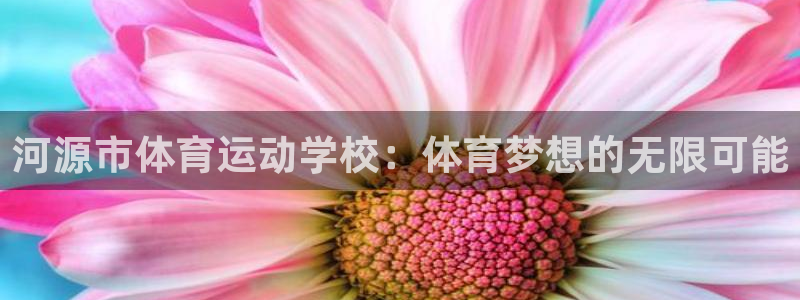 vsport体育官方正版app新能源:河源市体育运动学校:体